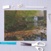 Papier Mousseline Cascade automnale et Creek Pennsylvania Nature (Artisanat)