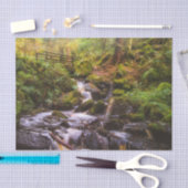 Papier Mousseline Cascade douce Brook (Artisanat)