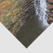 Papier Mousseline Cascade du parc d'état Laurel Hill State Park II (Détail)