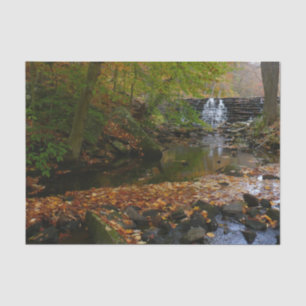 Papier Mousseline Cascade et ruisseau d'automne en Pennsylvanie Natu