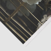 Papier Mousseline Casquette vintage de cage à oiseaux (Détail)