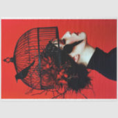 Papier Mousseline Casquette vintage de cage à oiseaux (Recto)