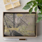 Papier Mousseline Casse-fleur de printemps commun Catkins (Cadeau)