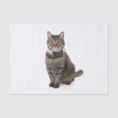 Papier Mousseline Cat à Tuxedo (Recto)