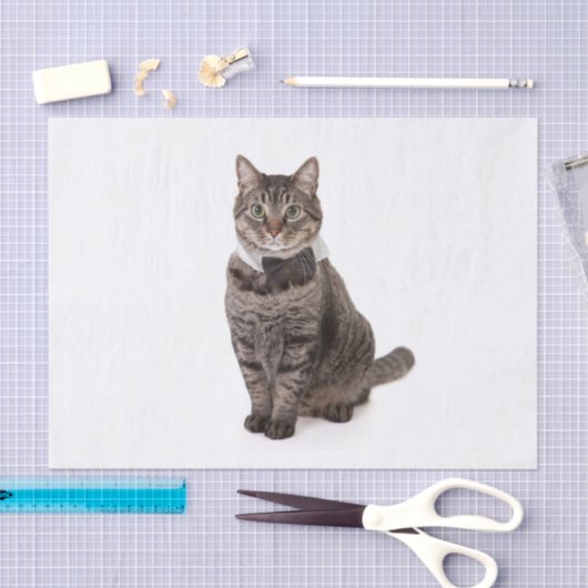 Papier Mousseline Cat à Tuxedo (Artisanat)