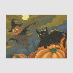Papier Mousseline Cat noir et épouvantail citrouille