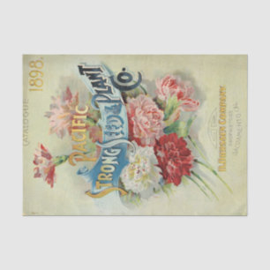 Papier Mousseline Catalogue de graines anciennes 1898 Pacific Strong