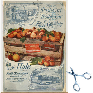 Papier Mousseline Catalogue de graines anciennes Hale's Peaches