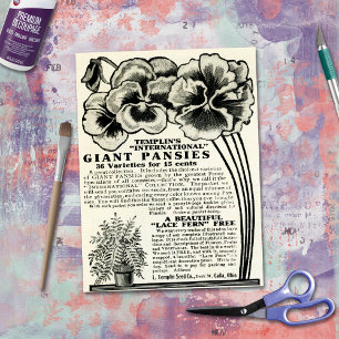 Papier Mousseline Catalogue de graines de pensées géantes vintage po