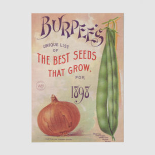 Papier Mousseline Catalogue de graines vintage Burpee's Company 1898