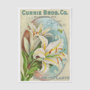 Papier Mousseline Catalogue de graines vintage Currie Bros, 1905