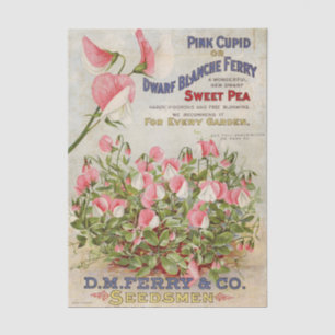 Papier Mousseline Catalogue de graines vintage D.M. Ferry and Compan