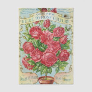 Papier Mousseline Catalogue de graines vintage Dingee & Conard Cultu