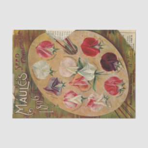 Papier Mousseline Catalogue de graines vintage Maules 1896 Pois de s