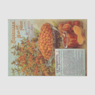 Papier Mousseline Catalogue des semences Vintages de fruits du melon