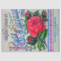 Catalogue vintage de semences Dingee Conard Cultur