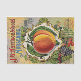 Papier Mousseline Catalogue vintage de semences Harrison & Sons Nurs