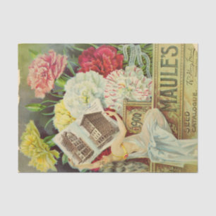 Papier Mousseline Catalogue vintage des semences Oeillets de Maule, 