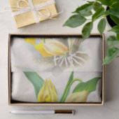 Papier Mousseline Catasetum Macrocaprum (orchidée) par Jean Linden (Cadeau)