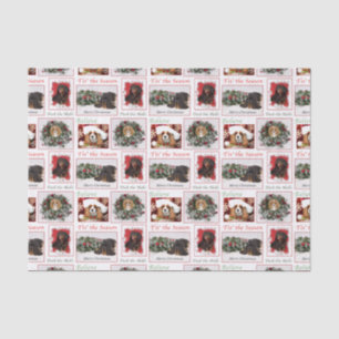 Papier Mousseline Cavalier King Charles Christmas