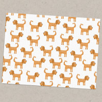 Cavalier King Charles Spaniel Chien