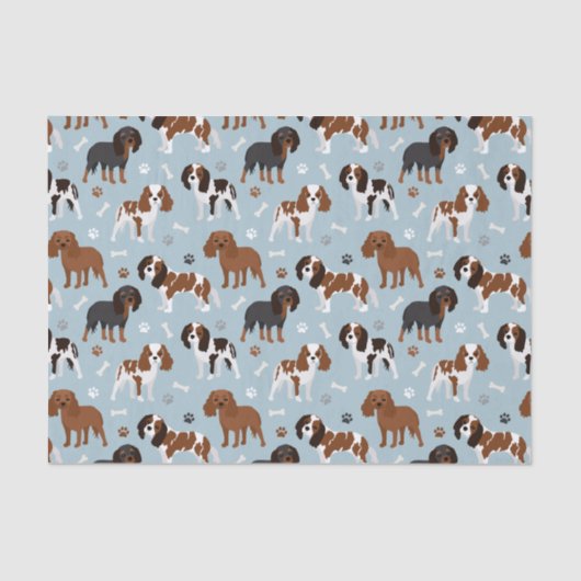 Papier Mousseline Cavalier King Charles Spaniel Paws and Bones (Recto)