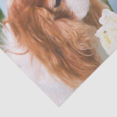 Papier Mousseline Cavalier Le Roi Charles Spaniel Avec Hydrangeas (Détail)