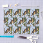 Papier Mousseline Cèdre - Jardin Bird Tissu Papier (Artisanat)
