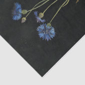 Papier Mousseline Centaurea Cyanus par Mary Delany (Détail)