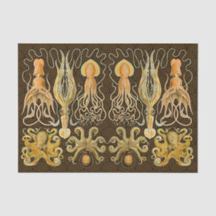 Papier Mousseline Cephalopod poulpe calmar Nature marine