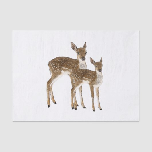 Papier Mousseline Cerf (Recto)