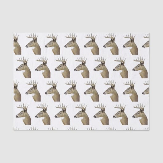 Papier Mousseline Cerf à queue blanche (Recto)