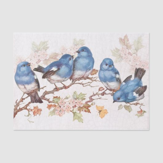 Papier Mousseline Ces bébés bleues (Recto)