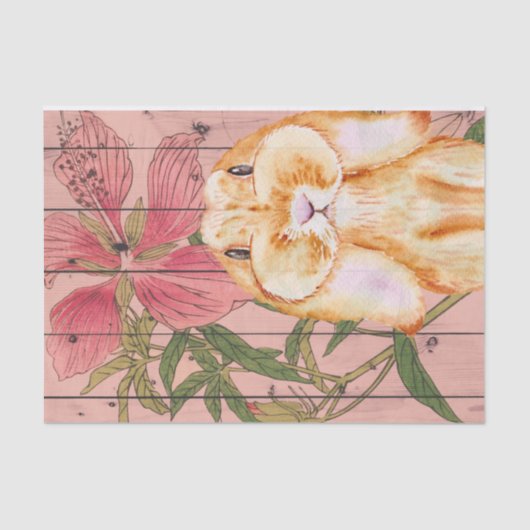 Papier Mousseline Ces Joues ! ! Super Mignonne Lapin ! Papier Mousse (Recto)