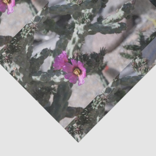 Papier Mousseline Challa Cactus en fleurs (Détail)