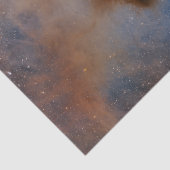 Papier Mousseline Chamaeleon I Dark Cloud (Détail)