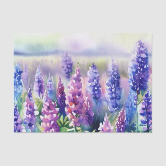 Papier Mousseline Champ d'aquarelle Fleurs-Lupine (D) (Recto)