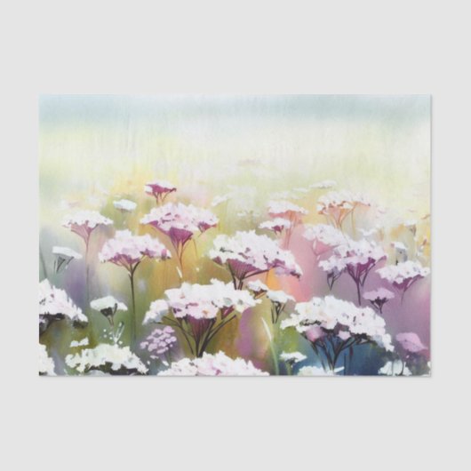 Papier Mousseline Champ d'aquarelle Fleurs-Yarrow (D) (Recto)