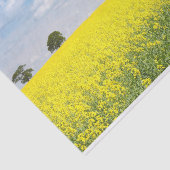 Papier Mousseline Champ De Fleur Jaune Aussi Loin Que L'Oeil Peut Vo (Détail)