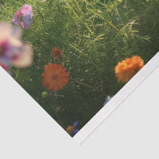 Papier Mousseline Champ de fleurs découpage (Détail)