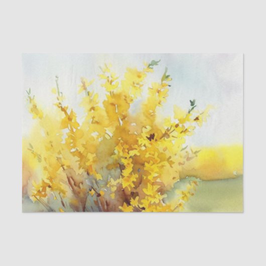 Papier Mousseline Champ de fleurs-Forsythia (C) Aquarelle (Recto)