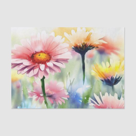 Papier Mousseline Champ de fleurs-Gerbera Daisy (C) Aquarelle (Recto)