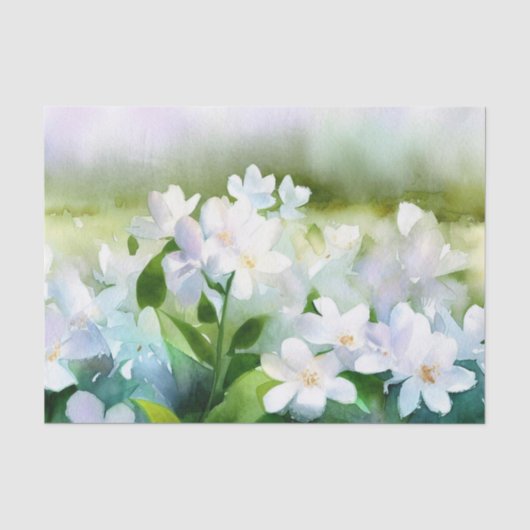 Papier Mousseline Champ de fleurs-Jasmine (D) Aquarelle (Recto)