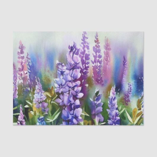 Papier Mousseline Champ de fleurs-Lupine (A) Aquarelle (Recto)