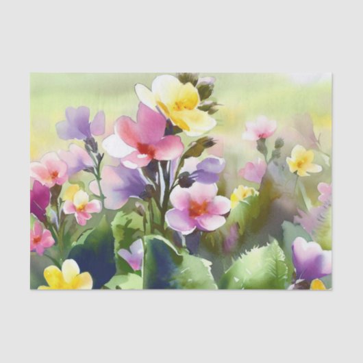 Papier Mousseline Champ de fleurs-Primrose (A) Aquarelle (Recto)