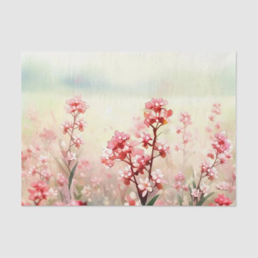 Papier Mousseline Champ de fleurs-Waxflower (D) Aquarelle (Recto)