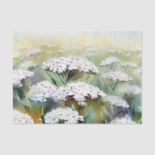 Papier Mousseline Champ de fleurs-Yarrow (B) Aquarelle (Recto)