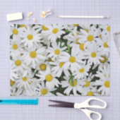 Papier Mousseline Champ de marguerites (Artisanat)