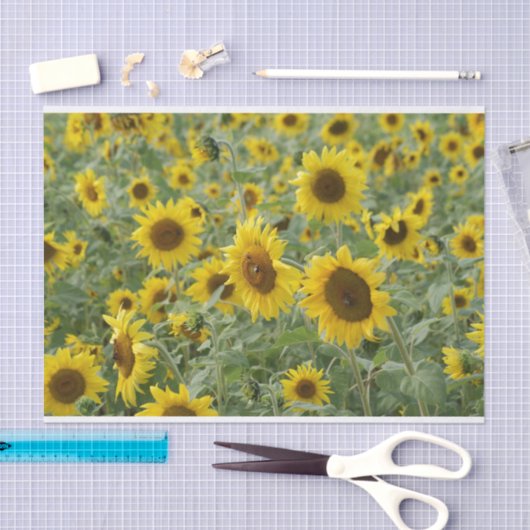 Papier Mousseline Champ des tournesols (Artisanat)