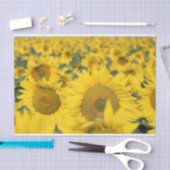 Papier Mousseline Champ jaune de tournesols photo (Artisanat)